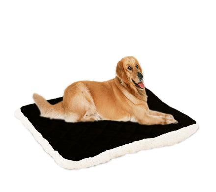 Pet ice silk cushion